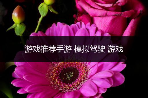 游戏推荐手游 模拟驾驶 游戏