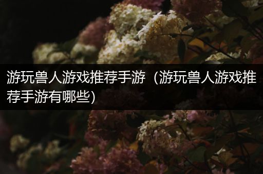 游玩兽人游戏推荐手游（游玩兽人游戏推荐手游有哪些）