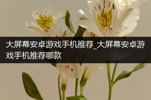 大屏幕安卓游戏手机推荐_大屏幕安卓游戏手机推荐哪款