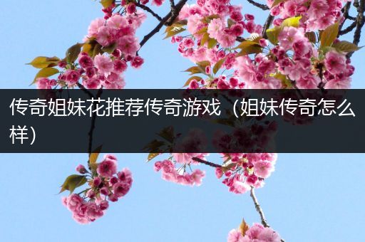 传奇姐妹花推荐传奇游戏（姐妹传奇怎么样）