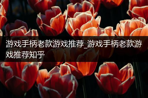 游戏手柄老款游戏推荐_游戏手柄老款游戏推荐知乎