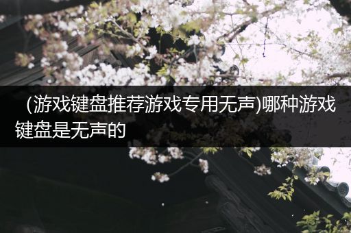 （游戏键盘推荐游戏专用无声)哪种游戏键盘是无声的