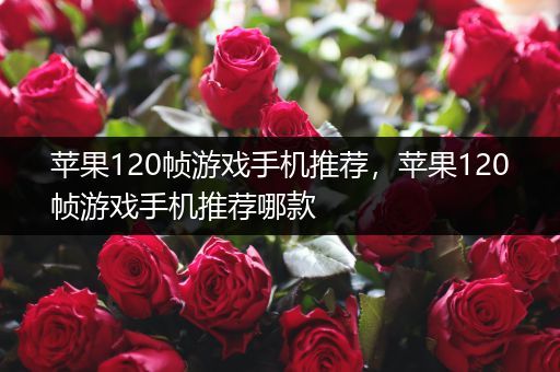 苹果120帧游戏手机推荐，苹果120帧游戏手机推荐哪款