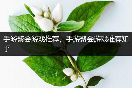 手游聚会游戏推荐，手游聚会游戏推荐知乎