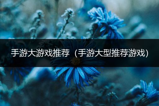 手游大游戏推荐（手游大型推荐游戏）