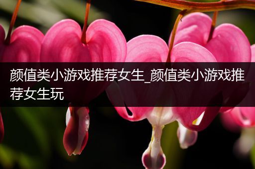 颜值类小游戏推荐女生_颜值类小游戏推荐女生玩