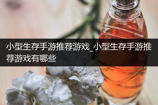 小型生存手游推荐游戏_小型生存手游推荐游戏有哪些