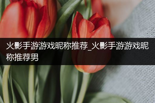 火影手游游戏昵称推荐_火影手游游戏昵称推荐男