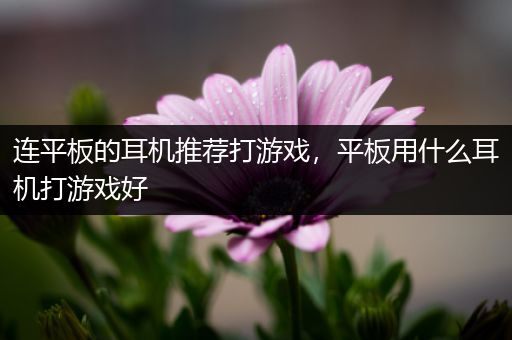 连平板的耳机推荐打游戏，平板用什么耳机打游戏好