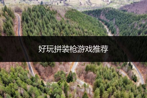 好玩拼装枪游戏推荐