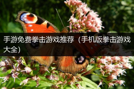 手游免费拳击游戏推荐（手机版拳击游戏大全）