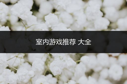 室内游戏推荐 大全