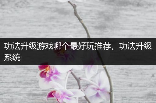 功法升级游戏哪个最好玩推荐，功法升级系统