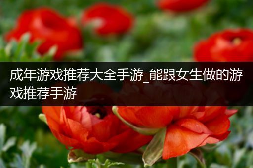 成年游戏推荐大全手游_能跟女生做的游戏推荐手游