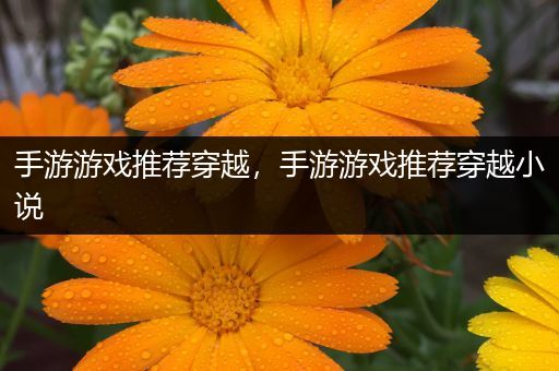 手游游戏推荐穿越，手游游戏推荐穿越小说
