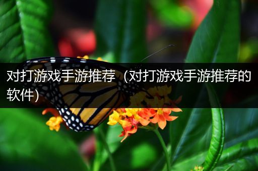对打游戏手游推荐（对打游戏手游推荐的软件）