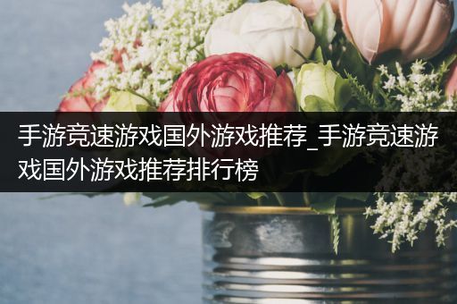 手游竞速游戏国外游戏推荐_手游竞速游戏国外游戏推荐排行榜