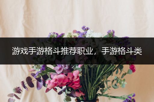 游戏手游格斗推荐职业，手游格斗类