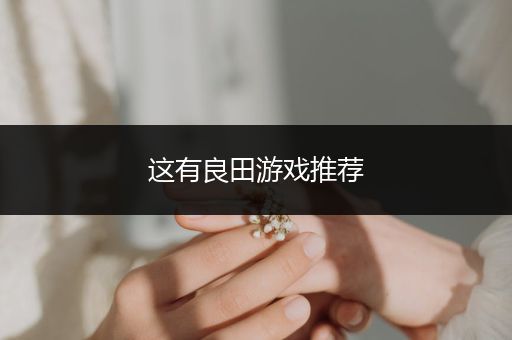 这有良田游戏推荐