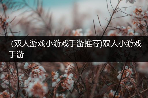 （双人游戏小游戏手游推荐)双人小游戏 手游