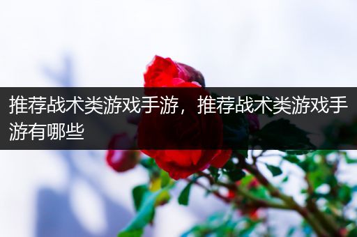 推荐战术类游戏手游，推荐战术类游戏手游有哪些