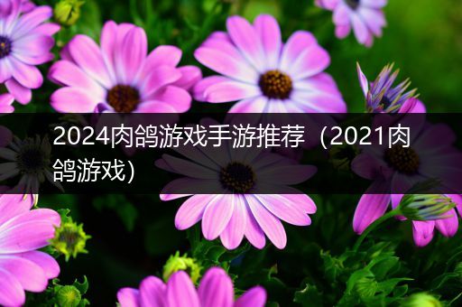 2024肉鸽游戏手游推荐（2021肉鸽游戏）