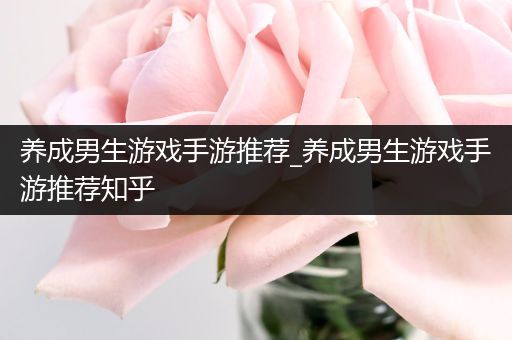 养成男生游戏手游推荐_养成男生游戏手游推荐知乎