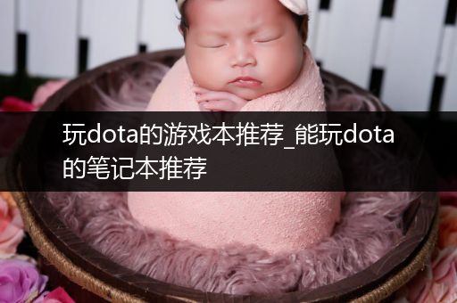 玩dota的游戏本推荐_能玩dota的笔记本推荐
