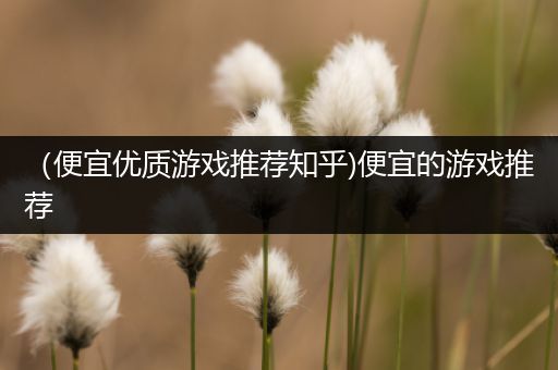 （便宜优质游戏推荐知乎)便宜的游戏推荐