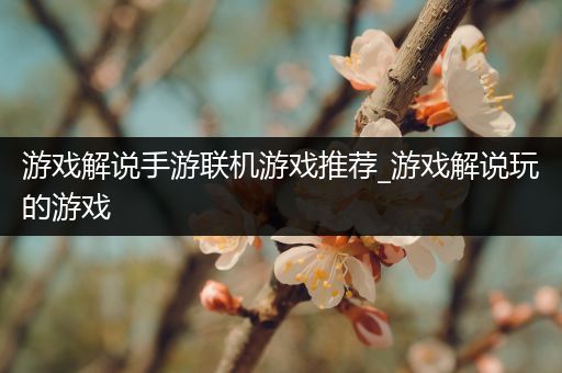 游戏解说手游联机游戏推荐_游戏解说玩的游戏