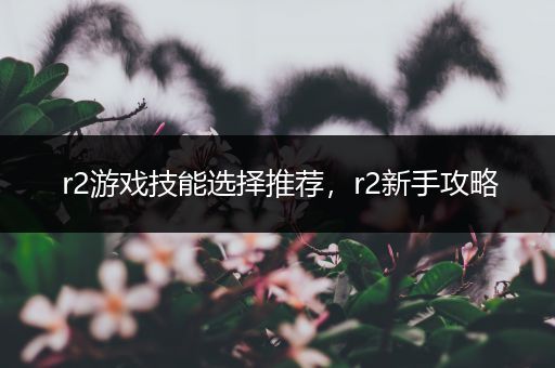 r2游戏技能选择推荐，r2新手攻略