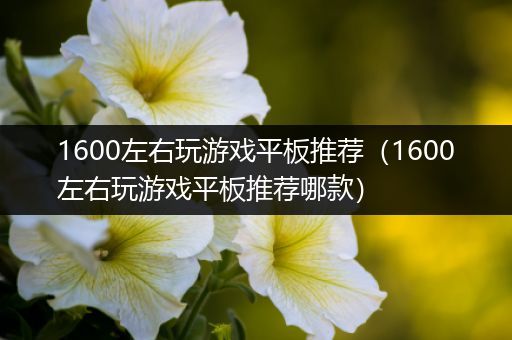 1600左右玩游戏平板推荐（1600左右玩游戏平板推荐哪款）