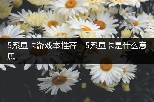 5系显卡游戏本推荐，5系显卡是什么意思