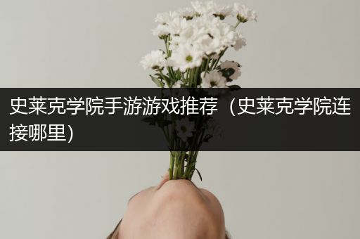 史莱克学院手游游戏推荐（史莱克学院连接哪里）