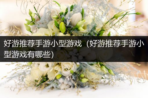 好游推荐手游小型游戏（好游推荐手游小型游戏有哪些）