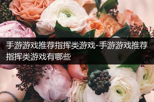 手游游戏推荐指挥类游戏-手游游戏推荐指挥类游戏有哪些