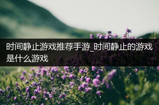 时间静止游戏推荐手游_时间静止的游戏是什么游戏