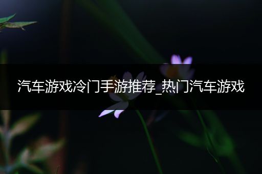汽车游戏冷门手游推荐_热门汽车游戏