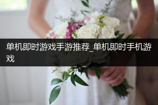 单机即时游戏手游推荐_单机即时手机游戏