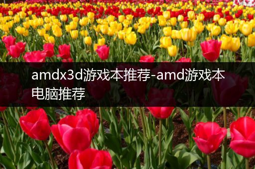 amdx3d游戏本推荐-amd游戏本电脑推荐