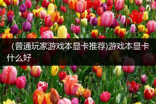 （普通玩家游戏本显卡推荐)游戏本显卡什么好