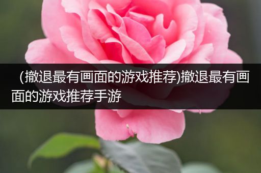 （撤退最有画面的游戏推荐)撤退最有画面的游戏推荐手游