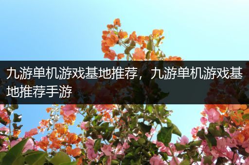 九游单机游戏基地推荐，九游单机游戏基地推荐手游