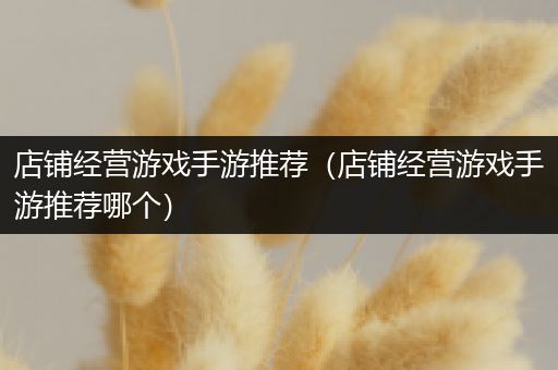 店铺经营游戏手游推荐（店铺经营游戏手游推荐哪个）