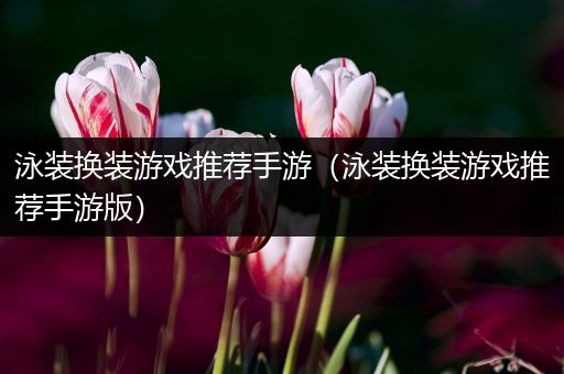泳装换装游戏推荐手游（泳装换装游戏推荐手游版）