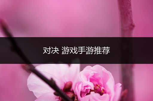 对决 游戏手游推荐