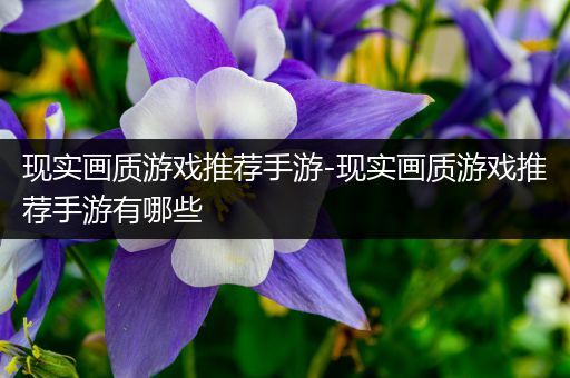 现实画质游戏推荐手游-现实画质游戏推荐手游有哪些