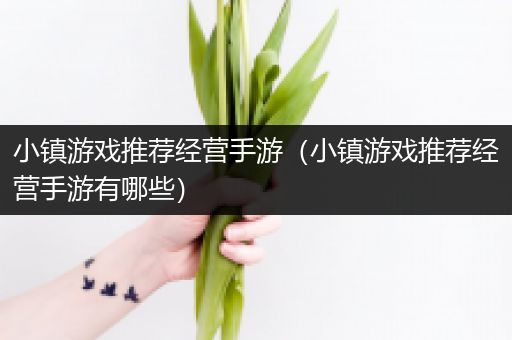小镇游戏推荐经营手游（小镇游戏推荐经营手游有哪些）