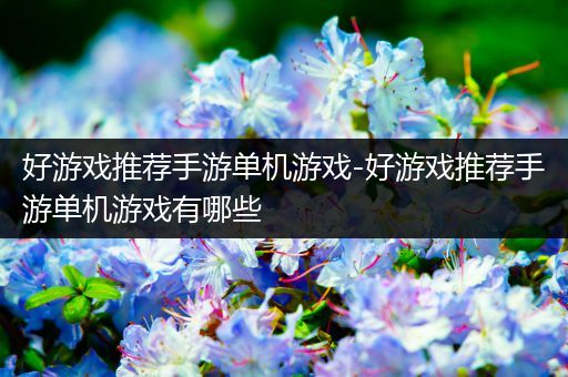 好游戏推荐手游单机游戏-好游戏推荐手游单机游戏有哪些