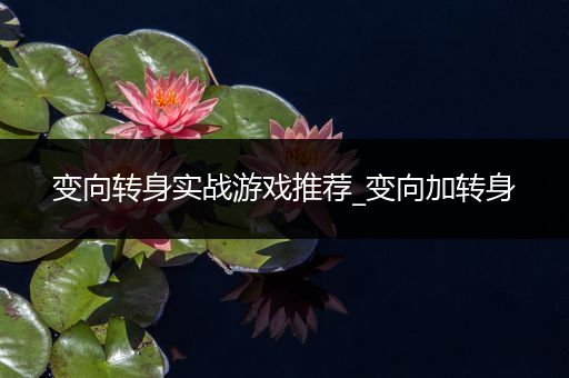 变向转身实战游戏推荐_变向加转身